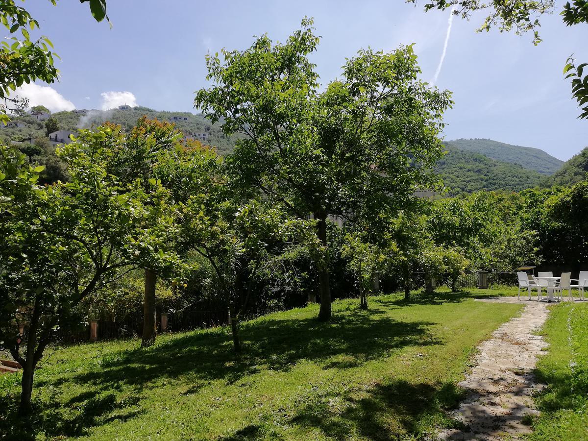 Casale Le Noci Apartment Vico Equense Luaran gambar